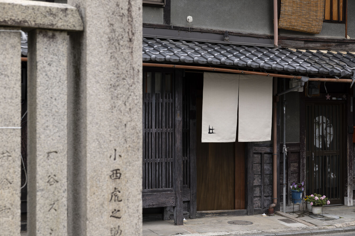 画像7986
