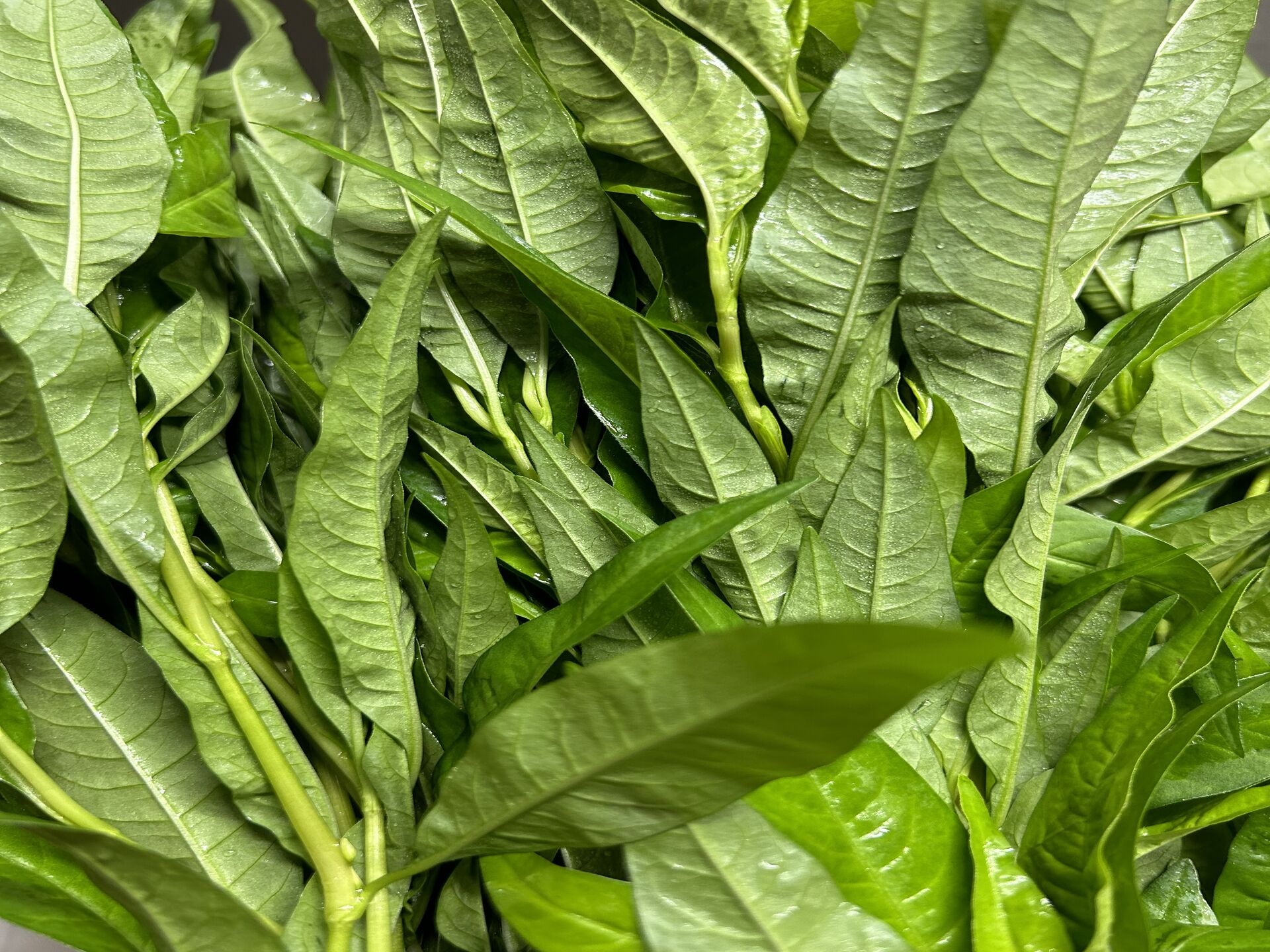 野菜
